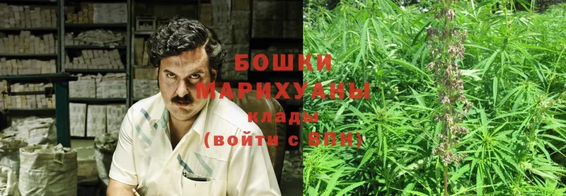 МАРИХУАНА OG Kush  Олонец 